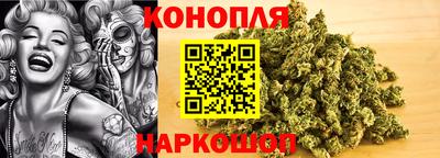 прущие грибы Изобильный