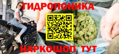 прущие грибы Изобильный