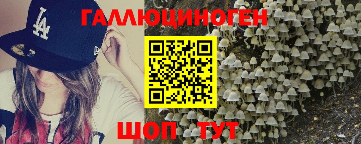 купить   Галлюциногенные грибы MAGIC MUSHROOMS  Вход с VPN  Курчатов 